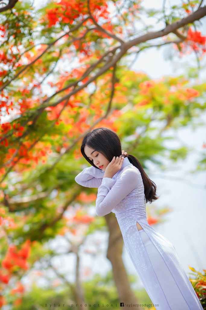 六姊妹电视剧免费